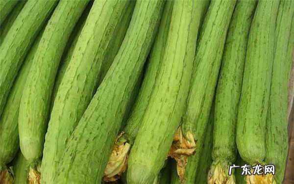 夏季清热去火的蔬菜有哪些