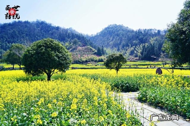 唯美倒影图片大全 风水中倒影图片大全大图