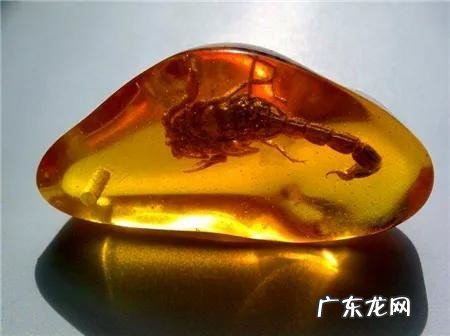 带你领略最好看的有机宝石 世界宝石排名大全