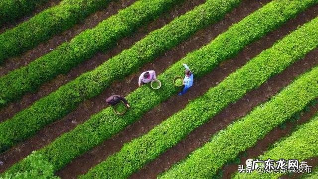 平原风水宝地 养老风水宝地清河