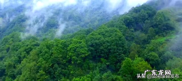 平原风水宝地 养老风水宝地清河
