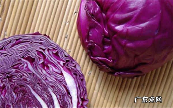 紫甘蓝的食用禁忌什么人不适合吃