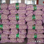 中国大蒜产地 大蒜的产地有哪些地方