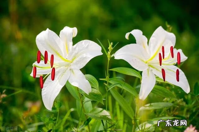 穿七星鞋垫有什么说法吗 七星风水地垫