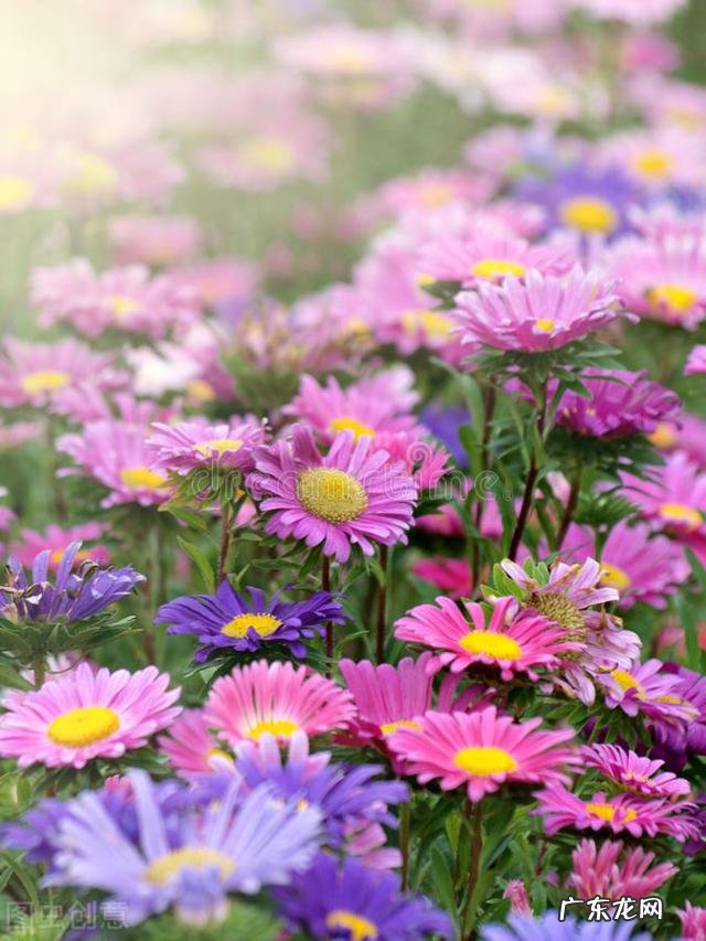 穿七星鞋垫有什么说法吗 七星风水地垫