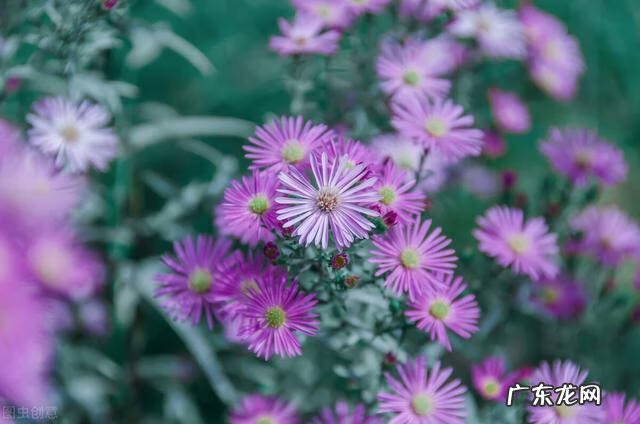 穿七星鞋垫有什么说法吗 七星风水地垫