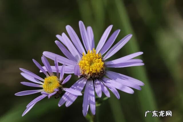 穿七星鞋垫有什么说法吗 七星风水地垫