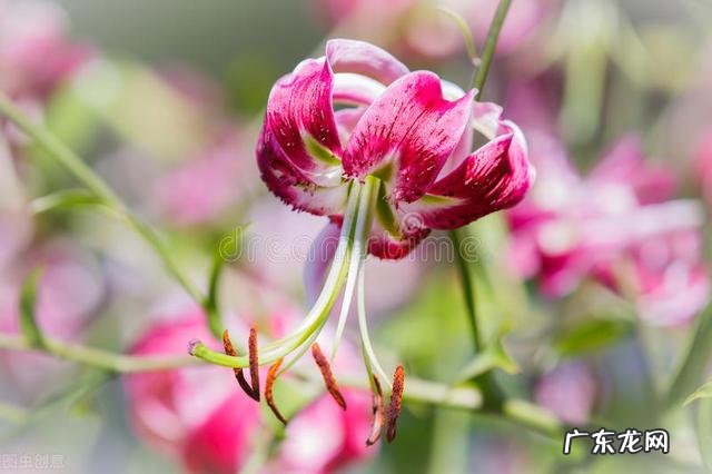 穿七星鞋垫有什么说法吗 七星风水地垫