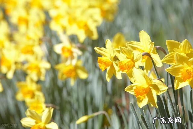 穿七星鞋垫有什么说法吗 七星风水地垫