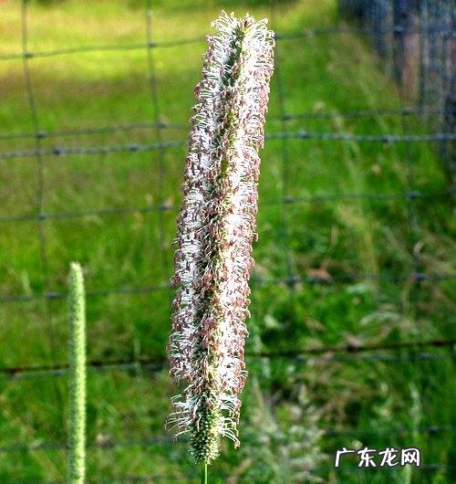 穿七星鞋垫有什么说法吗 七星风水地垫