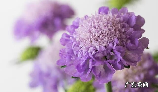 穿七星鞋垫有什么说法吗 七星风水地垫