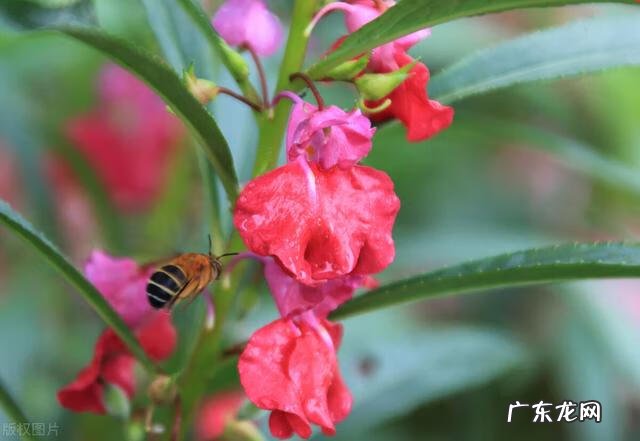 穿七星鞋垫有什么说法吗 七星风水地垫