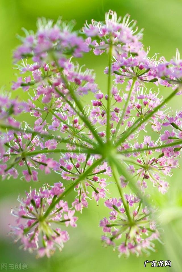 穿七星鞋垫有什么说法吗 七星风水地垫