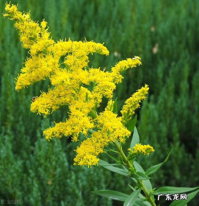 穿七星鞋垫有什么说法吗 七星风水地垫