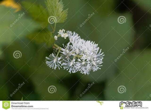 穿七星鞋垫有什么说法吗 七星风水地垫