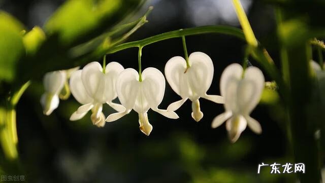 穿七星鞋垫有什么说法吗 七星风水地垫