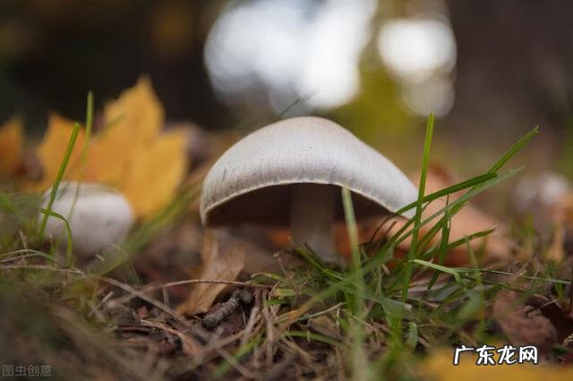 穿七星鞋垫有什么说法吗 七星风水地垫