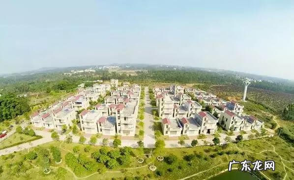 吴川塘缀哪条村最多人 吴川塘缀山瑶风水地