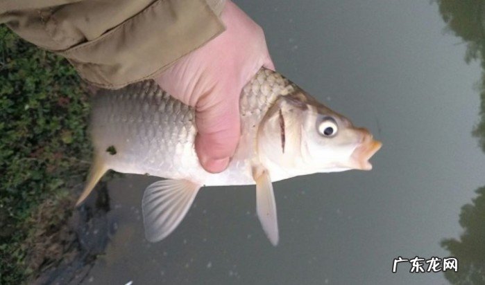 冬季钓鱼钓位及打窝技巧大总结 进入冬季如何钓鱼