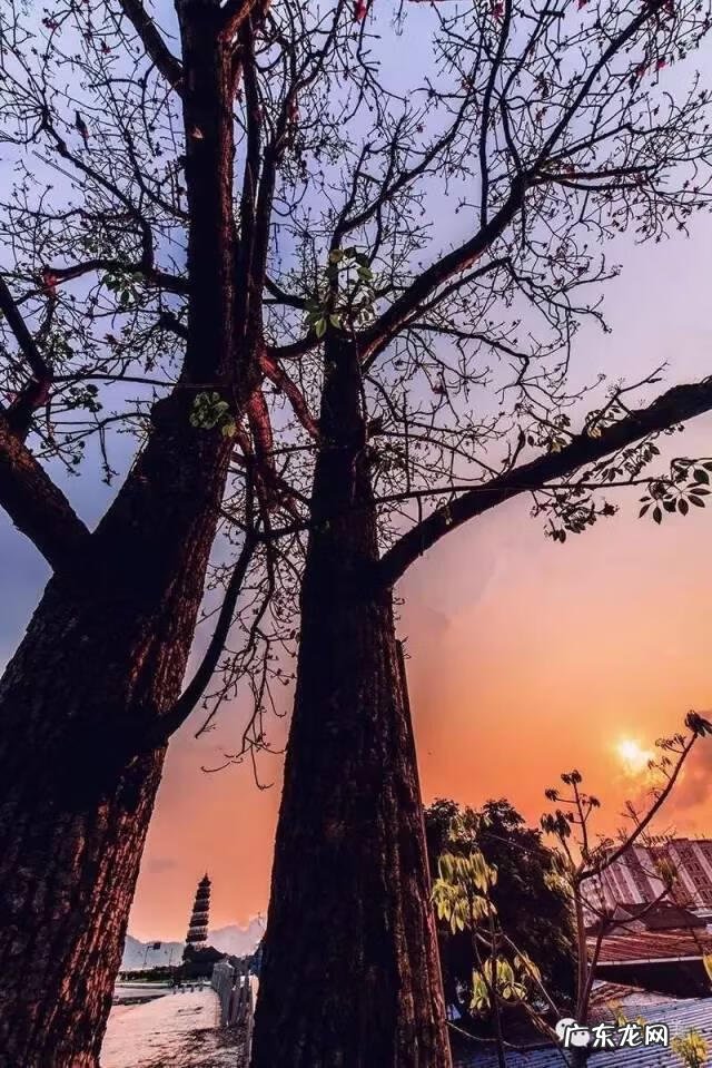 江门开平风水大师 开平哪里风水最好的