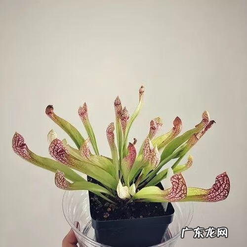 门面斜的风水好吗 向阳斜平面店铺从风水学来说好吗