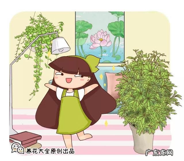 门面斜的风水好吗 向阳斜平面店铺从风水学来说好吗