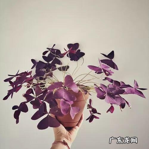 门面斜的风水好吗 向阳斜平面店铺从风水学来说好吗