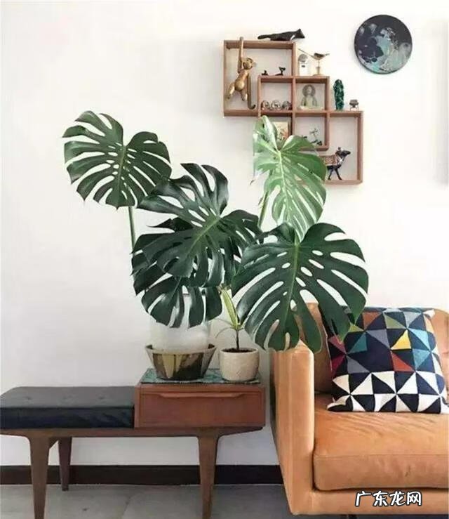 门面斜的风水好吗 向阳斜平面店铺从风水学来说好吗