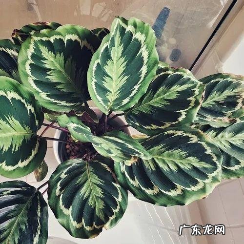 门面斜的风水好吗 向阳斜平面店铺从风水学来说好吗