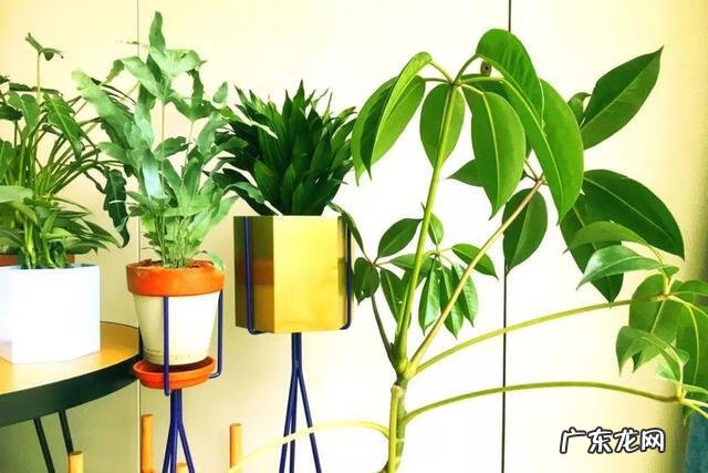 门面斜的风水好吗 向阳斜平面店铺从风水学来说好吗