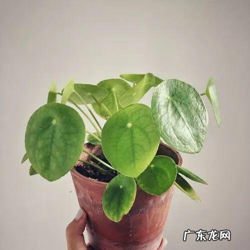 门面斜的风水好吗 向阳斜平面店铺从风水学来说好吗