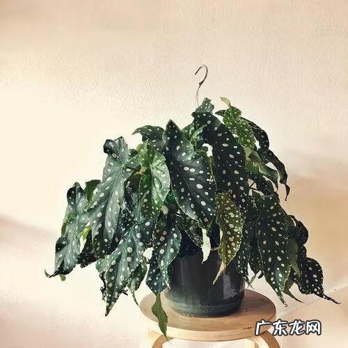 门面斜的风水好吗 向阳斜平面店铺从风水学来说好吗