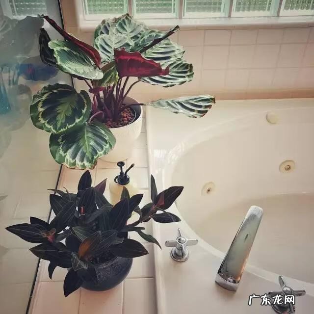 门面斜的风水好吗 向阳斜平面店铺从风水学来说好吗