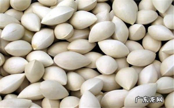 白果放了两年还能吃吗能不能冷冻