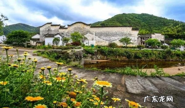 风水先生看墓地 香港 苏姓 风水大师