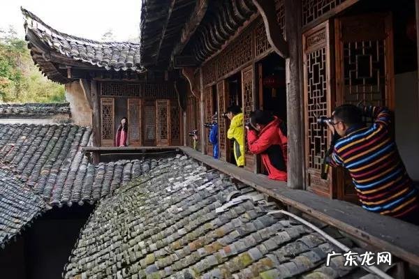 风水先生看墓地 香港 苏姓 风水大师