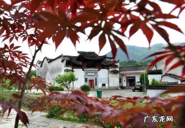 风水先生看墓地 香港 苏姓 风水大师