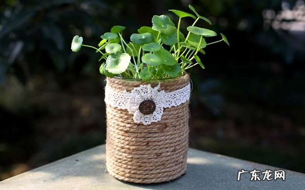 如何自制油桶花盆制作方法有哪些