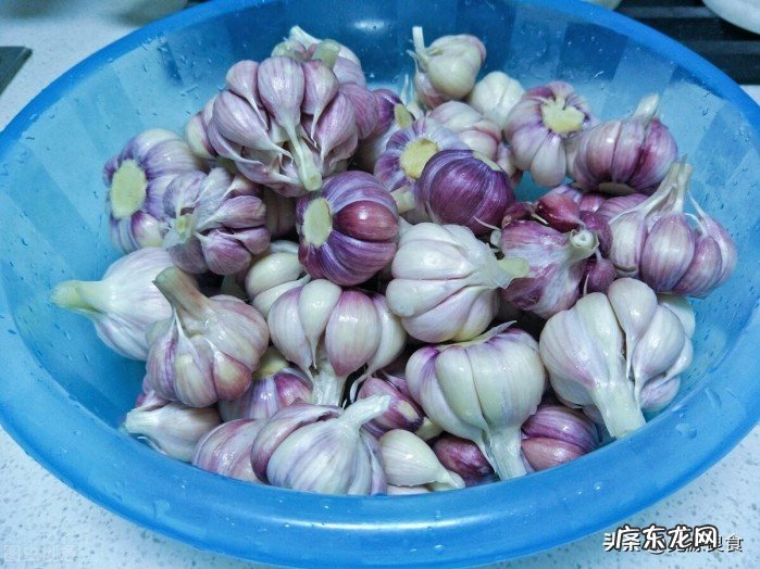 腌制腊八蒜的小技巧 紫皮蒜和白皮蒜的区别是什么