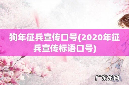 2020年征兵宣传标语口号 狗年征兵宣传口号