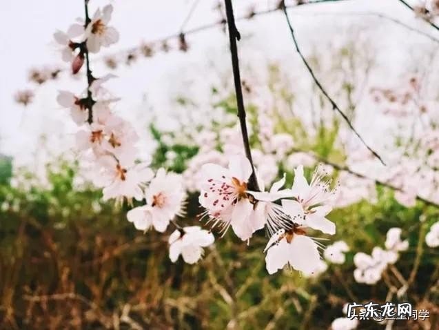 十月十五是什么日子?看谚语怎么说