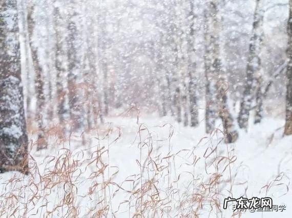 十月十五是什么日子?看谚语怎么说