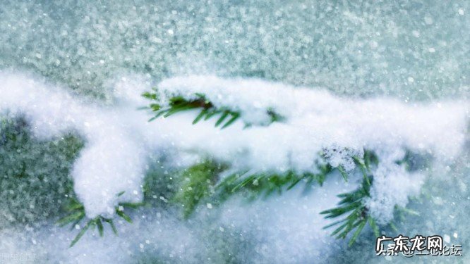 立冬是什么意思?立冬后是不是就是冬天了?