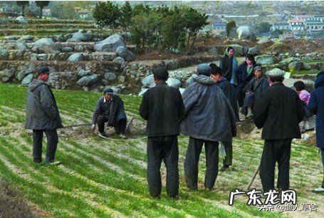 1英亩等于多少亩,一亩地等于多少平方米?