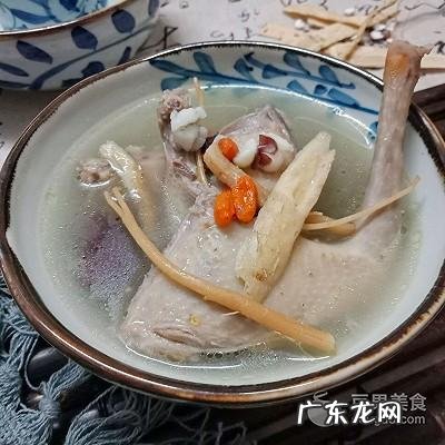 鸽子和什么煲汤最好 鸽子汤怎么炖好喝又营养窍门
