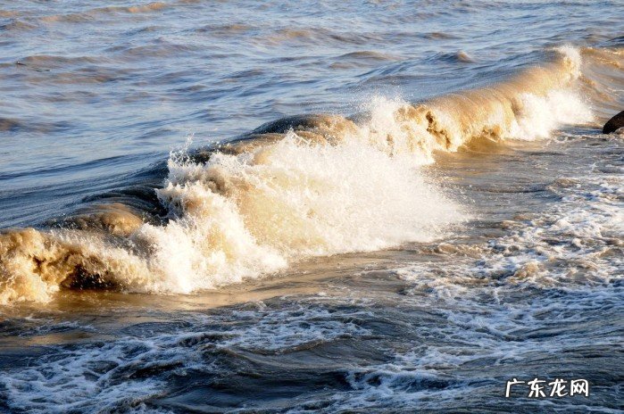 最精彩唐朝的七律诗排行榜，最经典的唐诗七律和大家一起欣赏