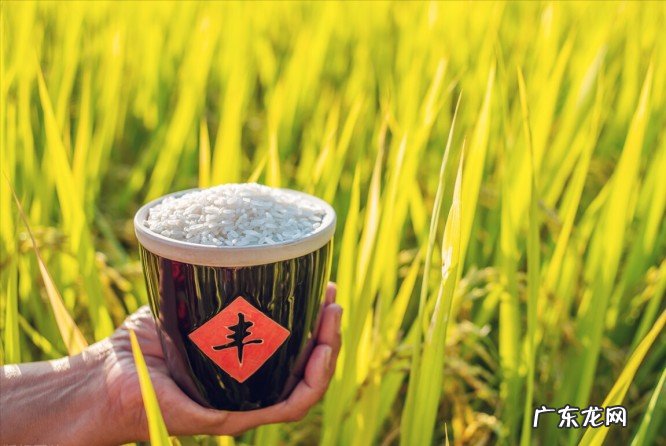 今天十月二十九是什么日子?小雪节,下雪有什么预兆?