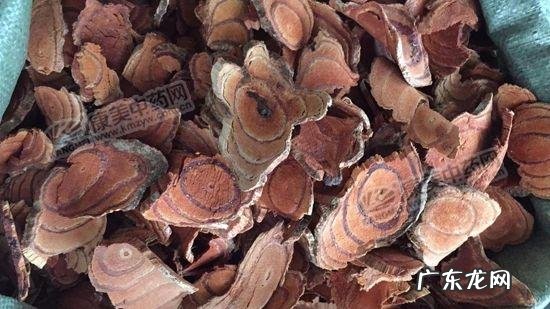 鸡血藤一般多少价位 鸡血藤价格行情