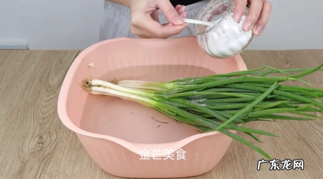 教你几种新鲜小葱长期保存方法 小葱这样储存放几个月都不会坏