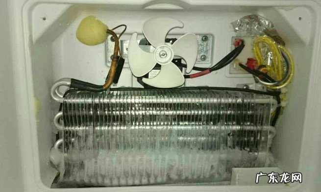 过来人说家庭使用感受 家用冰箱直冷和风冷有什么区别哪个好